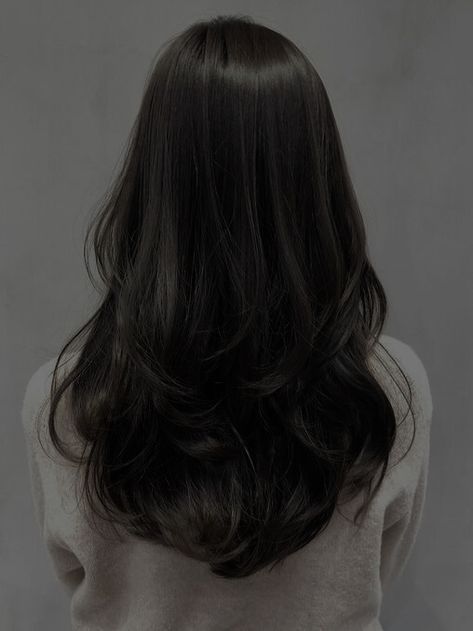 Long Straight Black Hair With Layers, Black Hair Inspo Medium Length, Long Hair Inspo Black, U Shape Haircut With Layers, Long Layers Korean, Chinese Haircut Woman, Asian Long Layers, Layered V Cut Hair Medium, Asian Curtain Bangs Long Hair