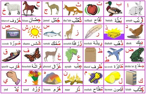 The Arabic alphabet and some basic vocabulary. Alphabet With Pictures, Arabic Alphabet Chart, Spoken Arabic, Alphabet Arabe, Arabic Alphabet Letters, Learn Arabic Online, Teach Arabic, Alphabet Pictures, Alphabet Songs