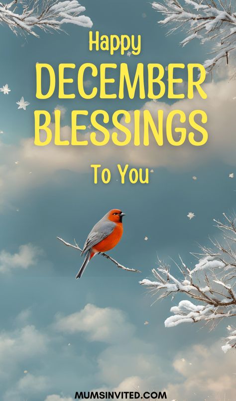 December Blessings - Celebrate the start of a new month with our aesthetic Christian quotes & images. Embrace the beauty of winter & the inspiration of scripture as you welcome December 1st with faith & positivity. Find the perfect way to bless your family & friends with divine messages, prayers, & wishes that uplift their spirits. These December blessings offer inspiration for every day of the month, making your Christmas mornings brighter & your days happier. December blessings quotes 2024. December 1 Wallpaper, Winter Blessings Quotes, December First Quotes, Sweet December Wishes, Welcome To December Quotes, Happy December 1st Quotes, December Blessings Quotes, Blessings Wallpaper, December 1st Quotes