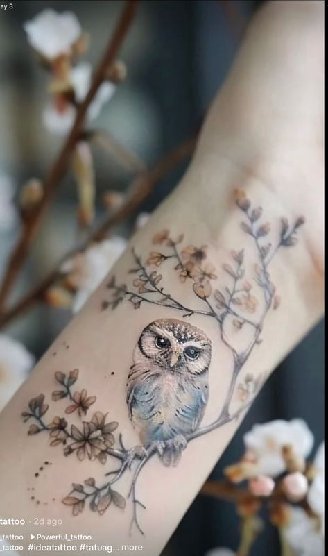 Owl Collar Bone Tattoo, Women’s Owl Tattoo, Baby Owl Tattoo For Women, Dainty Owl Tattoo For Women, Owl Shoulder Tattoos For Women, Cute Owl Tattoo For Women, Womens Tattoo Ideas Unique Beautiful, Owl On Branch Tattoo, Wildflower Wrist Tattoo