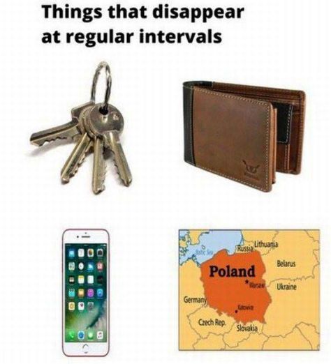 I love history, particularly when shared through memes. History was always my favorite subject in school. I also shared my love for history with my brother and grandfather. Historical Humor, Polish Memes, Funny Star Wars Memes, History Jokes, History Nerd, History Humor, Star Wars Humor, Star Wars Memes, Funny Animal Memes