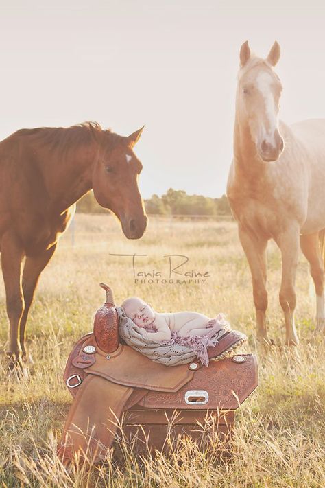 Newborn baby on her Mothers saddle. PLEASE NOTE - This is a composite image! Baby was not near the horses at all and whilst on the saddle she was supported and safe by her dad. Do not attempt a shot like this as it appears, There is no image important enough to risk the safety of the baby. http://www.taniarainephotography.com Photo Bb, Baby Pictures Newborn, Foto Baby, Baby Pics, Newborn Shoot, Baby Time, Expecting Baby, Shooting Photo, Newborn Photoshoot