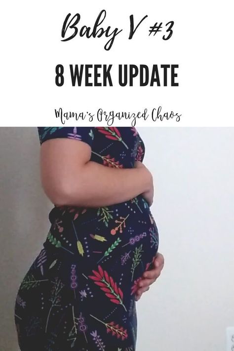 Baby V#3 Week 8 Update | Mama's Organized Chaos 8 Week Baby Bump, Week 8 Pregnancy, Logan Michael, 8 Weeks Pregnant, Pregnancy Countdown, Pregnancy Bump, Baby Schedule, Pregnancy Information, Teaching Toddlers