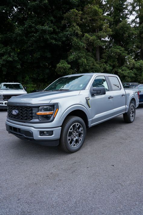 Unleash your potential with the powerful 2024 Ford F-150 STX! 💪 (Stock#FE45273)   #HealeyBrothers #HudsonValley #HVNY #ford #fordf150 #f150 Chevrolet Dealership, New Hampton, Hudson Valley Ny, Chrysler Dodge Jeep, Car Auctions, Ford F 150, Hudson Valley, Ford Trucks, Car Insurance