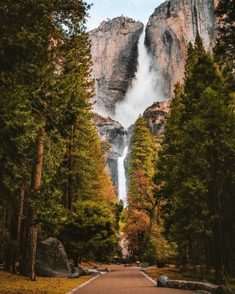 Yosemite Photos, Dark Forest Aesthetic, Cascade Falls, Yosemite Park, National Parks Photography, Yosemite Falls, National Parks Usa, Yosemite Valley, Alaska Travel