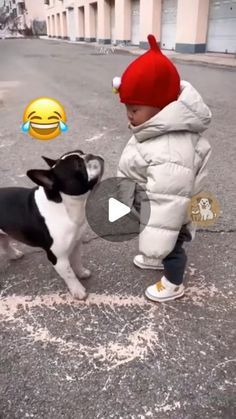 Dog Humor Hilarious, Funny Dog Videos Hilarious Laughing, Funny Dog Videos Make Me Laugh, Funny Dog Videos Try Not To Laugh, Try Not To Laugh Videos Hilarious, Dog Videos Funny Hilarious, Dogs Dancing, Funny Dog Videos Hilarious, Hilarious Dog Videos