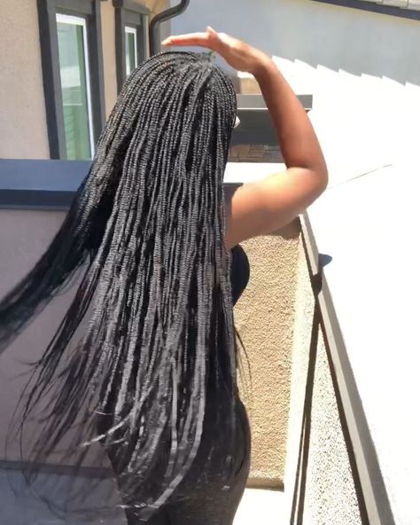 Jul 20, 2019 - #micros #microbraids #microboxbraids #boxbraids #longbraids #braids #protectivestyles #protectivebraidstyles #summerhair #braidstyles Micro Box Braids Long, Small Micro Braids, Long Micro Braids, Micro Box Braids, Micro Braids Styles, Micro Braids Hairstyles, Small Box Braids, Short Box Braids, Jumbo Box Braids