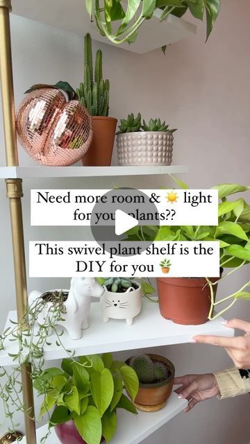 Katie Unicorn | Home & Garden Design on Instagram: "This swivel plant shelf DIY - originally sourced from @neverskipbrunch - has got to be the cutest and practical! solution for your plant babies 🪴   This shelf does it all: Swivels so your plant babies can get the even light they need, stacks your plants vertical so you have more room to grow your collection, AND adds a beautiful feature to your room you can change up anytime you want. Like movable living art. I love that it’s a functional and fun solution.   PRO TIPS:  🪴 When drilling your holes in the shelves, drill them at a slight angle so the shelves remain level once they have the plants on them so they don’t ‘slant’ or sag from the weight. (Drill some test holes in a scrap piece of wood to test it out!) 🪴Make sure you prime your Diy Swivel Shelf, Swivel Shelf For Plants, House Plant Display Ideas, Plant Shelf Diy, Swivel Shelf, Window Plant Shelf, Plant Parenthood, Indoor Plant Display, Indoor Plant Shelves