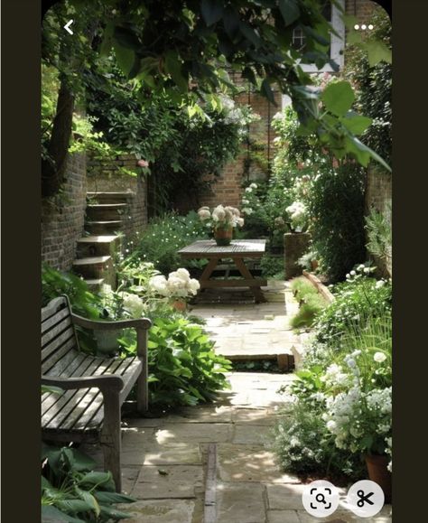 Walled Courtyard Garden, Gardening Layout, Walled Courtyard, Courtyard Gardens, Front Gardens, Small Courtyard Gardens, Small Patio Garden, Backyard Plants, Back Garden Design