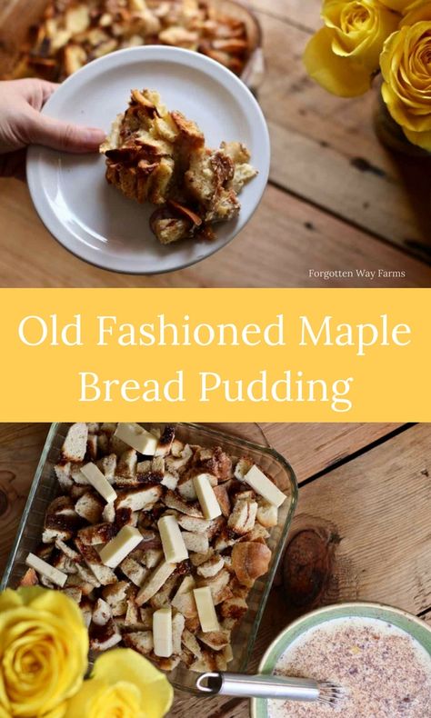 Old Fashioned Bread Pudding - Forgotten Way Farms Maple Bread Pudding Recipe, Maple Bread, Old Fashioned Bread, Maple Desserts, Old Fashioned Bread Pudding, Bread Puddings, Healthy Bread Recipes, Family Desserts, Modern Homesteading