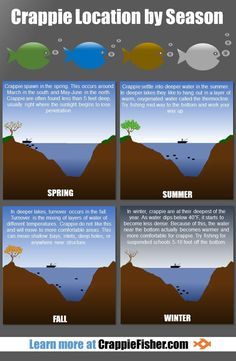 Infographic of gener  Infographic of generally where to find crappie during spring summer fall and winter. #Fishing #FishingTips Fishing Tips And Tricks, Crappie Fishing Tips, Trout Fishing Tips, Salt Water Fishing, Bass Fishing Tips, Fishing Rigs, Crappie Fishing, Fishing Techniques, Types Of Fish