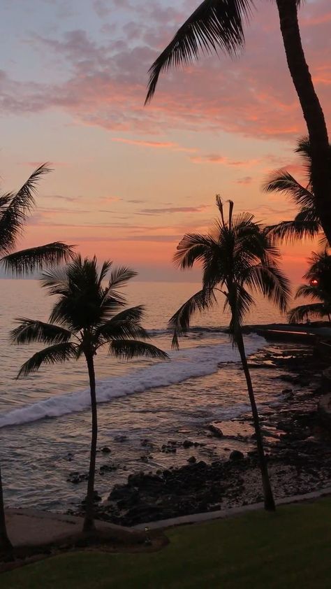 hawaii sunset [Video] | Sunset nature, Beautiful nature pictures, Beautiful photos of nature Video Sunset, Sunset Video, Photos Of Nature, Hawaii Sunset, Beautiful Wallpapers For Iphone, Sunset Nature, Best Sunset, Sunset Wallpaper, Hawaii Beaches