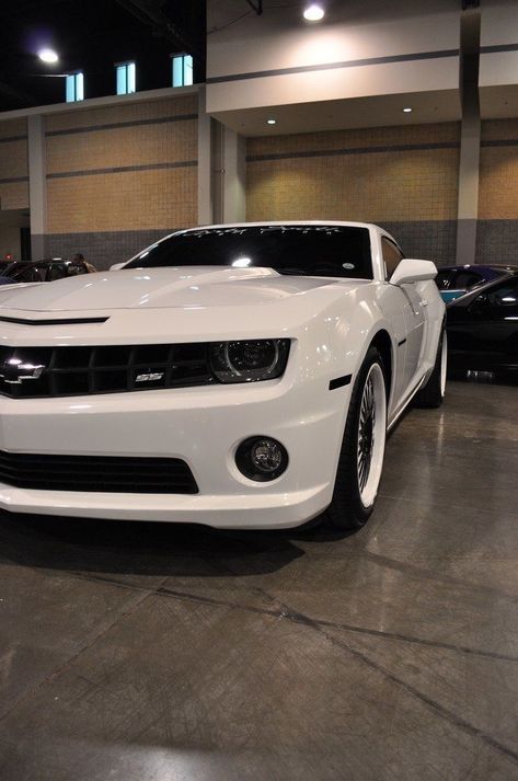 White Camaro, Mustang Car Aesthetic, 2022 Ford Mustang, Ford Mustang Car, Car Aesthetic, Super Car, Ford Mustang Gt, Car Girls, Mustang Gt