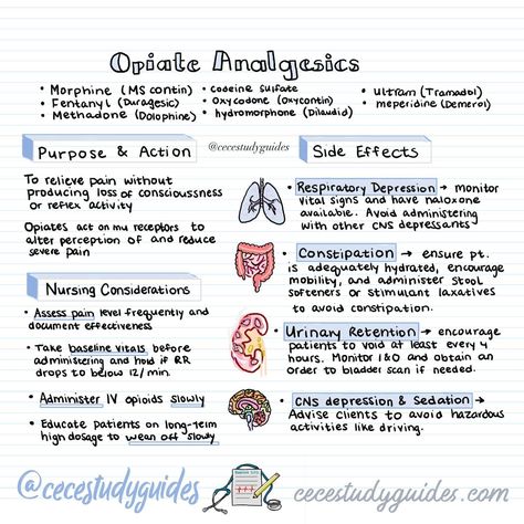 Pain is something all nurses treat, no matter your specialty. Understanding analgesics is key! 💊 From NSAIDs like ibuprofen to opioids, each has unique uses and side effects. Follow @cecestudyguides for more nursing notes! #nursingstudents #painkillers #pharmacology Analgesics Pharmacology, Perioperative Nursing Notes, Opioids Pharmacology, Nsaids Pharmacology, Ems Pharmacology, Pharmacology Nursing Study Notes, Pharmacology Notes, Pharmacology Nursing Study, Nursing School Pharmacology