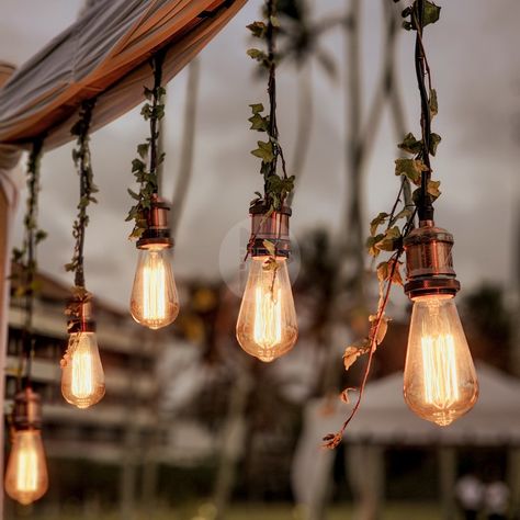 Edison Bulbs Wedding, Edison Lights Wedding, Edison Lighting Wedding, Light Bulb Fairy Lights, Edison Bulb Wedding, Marriage Conference, Edison Bulb String Lights, Outdoor Wedding Lighting, Wedding Guest Table