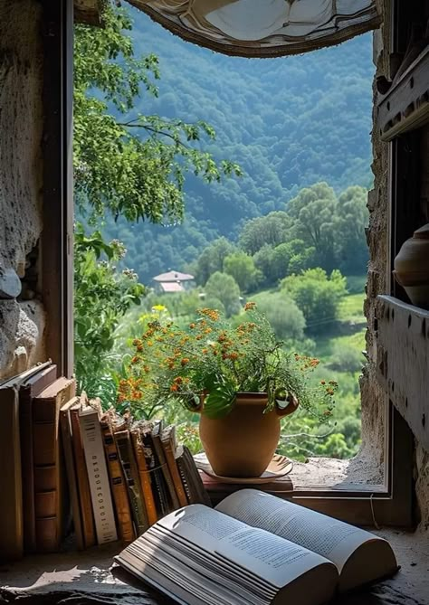 Garden View From Window, Pretty Windows, Window Landscape, Ivory Tower, Window Garden, Window Box Flowers, Window Benches, Indoor Herb, Christmas Tree Painting