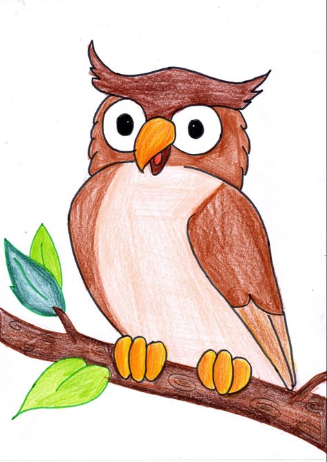 Easy drawing Owl for kids( colour,) Colour Pencils Drawing Easy, Color Pencil Drawing Easy Cute Cartoon, Easy Colouring Drawings, Animal Drawings Colour, Pencil Colour Art Drawings Easy, Easy Colourful Drawing, Birds Drawing Easy For Kids, Easy Colour Pencil Drawings, Owl Drawing Color