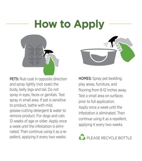 Kills and repels fleas, ticks and mosquitoesKills flea eggs and flea larvae, preventing flea re-infestation as well as skin reactions and flea bite dermatitis from biting bugsPowered by a blend of essential oils and natural oilsCan be applied directly to pets, their bedding and their play areas Essential Oils For Fleas, Tick Spray For Dogs, Flea And Tick Spray, Natural Bug Spray, Tick Spray, Tick Repellent, Diy Pest Control, Pet Spray, Bug Spray