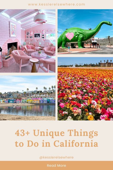 Unique Things to Do in California (that you probably don't know about!) Find unique things to do in California that you may not have heard of before! From a garden estate to animatronic dinosaurs to a butterfly preserve, there is no shortage of unique California activities on this list. #californiatravel #californiaitinerary #southerncalifornia #northerncalifornia #californiatrips Things To Do In Escondido California, Things To Do In California With Kids, California Things To Do, Things To Do In Southern California, California Activities, Topanga California, 50 States Travel, Things To Do In California, Thousand Oaks California