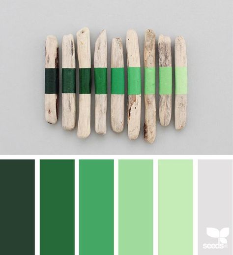 A Color Story: Kelly Green | Simple Stylings | Bloglovin’ Seeds Color, Green Color Schemes, Green Palette, Color Collage, Green Colour Palette, Design Seeds, Color Palette Design, Color Stories, Colour Schemes