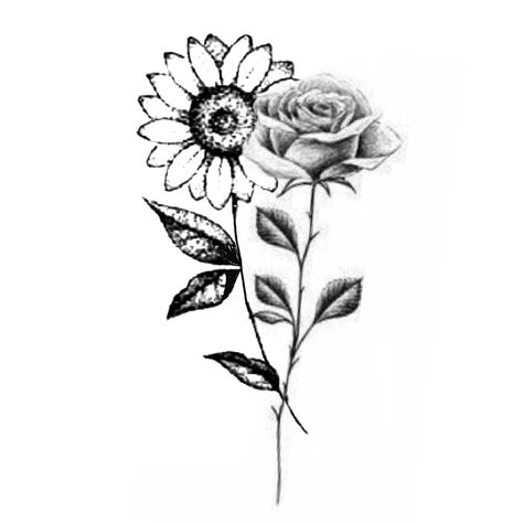 Sunflower Rose Drawing, Sunflower Rose Bouquet Tattoo, Small Rose And Sunflower Tattoo, Roses And Sunflowers Tattoo, Sunflower Rose Tattoo, Daisy And Rose Tattoo, Rose And Sunflower Tattoo, Sunflower And Rose Tattoo, Ms Tattoos