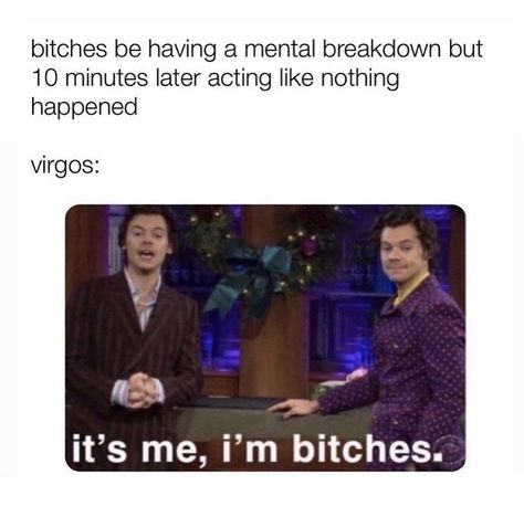 Virgo Memes Funny, Virgo And Virgo, Funny Virgo Quotes, Virgo Emotions, Funny Virgo, Virgo Things, Zodiac Mbti, Virgo Star Sign, Virgo Aquarius