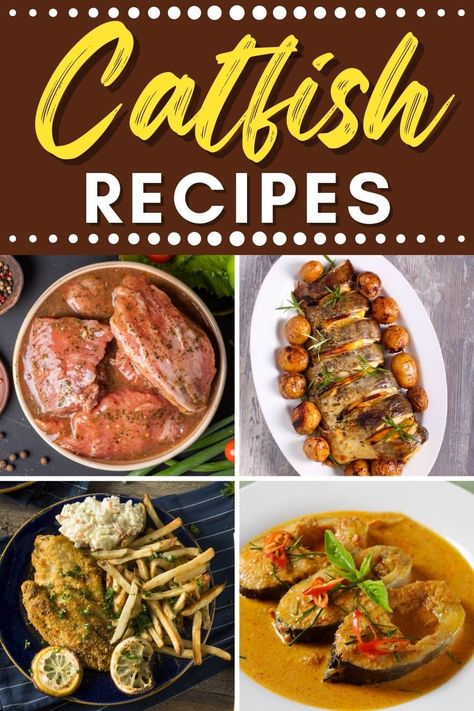 These catfish recipes will totally change your opinion about the fish! From fried to baked to blackened, catfish always makes for a tasty meal. Grilled Catfish Recipes Healthy, Catfish Dinner Ideas Sides, How To Cook Catfish Fillets, Cooking Catfish Fillets, Healthy Catfish Recipes Low Carb, Grilled Catfish Recipes, Grilled Catfish Recipes Foil, Cornmeal Catfish Fried Fish, Catfish Dinner