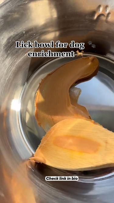 Health Checklist, Pet Treats Recipes, Easy Dog Treat Recipes, Dog Biscuit Recipes, Dog Remedies, Easy Dog Treats, Healthy Dog Treats Homemade, Dog Treats Homemade Recipes, Dog Enrichment