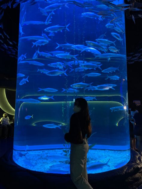 28 april 2022 Jakarta Aquarium, Jakarta