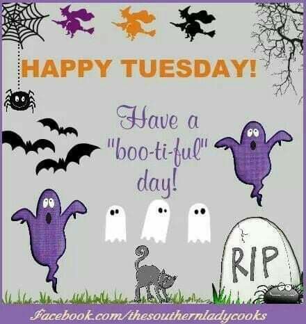 Tuesday Halloween Happy Halloween Quotes Funny, Tuesday Halloween, Tuesday Quotes Funny, Happy Halloween Quotes, Halloween Week, Halloween Memes, Tuesday Quotes, Ghost Tour, Creating A Vision Board