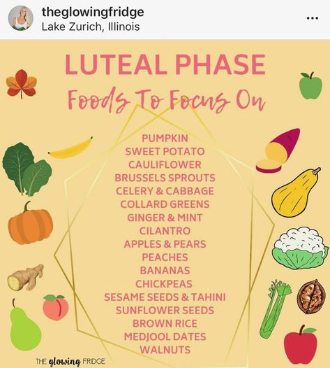 Luteal phase Infradian Rhythm, Cycle Health, How To Balance Hormones, Hormone Nutrition, Cycling Food, Plant Based Foods, Follicular Phase, Hormone Diet, Luteal Phase