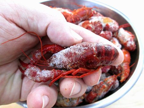 Frozen Crawfish Recipes, Boudin Recipe, Crawfish Dishes, Crawfish Boil Recipe, Craw Fish, Live Crawfish, Cooked Fish, Crawfish Recipes, Crawfish Etouffee