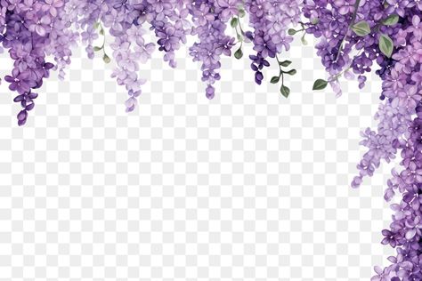 Cherry Blossom Border, Png Landscape, Wisteria Flower, Purple Wisteria, Png Flower, Border Png, Flower Purple, Vintage Borders, Hanging Flowers