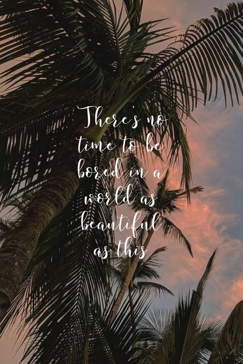 There's no time to be bored in a world as beautiful as this. Palm Tree Quotes, Paradise Quotes, Summertime Quotes, Summer Captions, Tree Quotes, Wanderlust Quotes, Travel Captions, Vacation Quotes, Nature Instagram