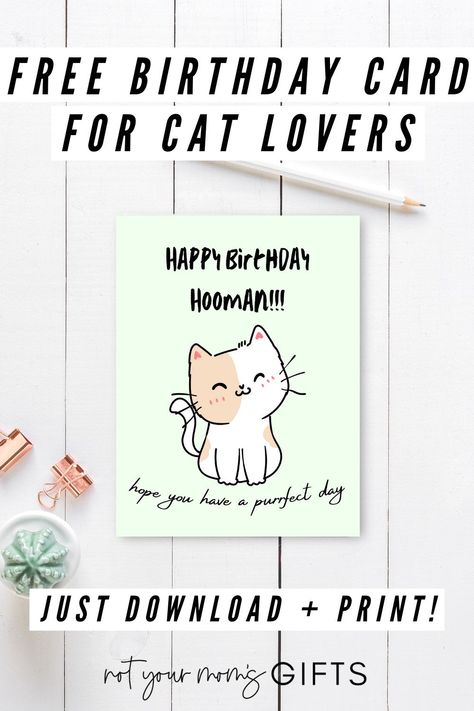 If you have a crazy cat person in your life, check out this free birthday card for cat lovers! This adorable cat-themed birthday card will totally have your loved one purring in excitement! | cat themed birthday cards diy | birthday card ideas for cat lovers | funny cat themed birthday cards | birthday cards cat themed | happy birthday card cat lover | happy birthday cat lover funny greeting card | cat birthday card printable free | cat lover birthday card funny | notyourmomsgifts.com Cat Themed Birthday Cards, Blank Card Template, Free Printable Birthday Cards, Lover Birthday, Card Sketches Templates, Birthday Cat, Free Birthday Card, Cat Printable, Cat Birthday Card