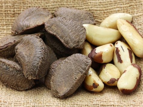 Brazil Nut Tree Info: How To Grow Brazil Nut Trees Brazil Nuts Benefits, Nuts Benefits, Brazil Nut, Brazil Nuts, Hdl Cholesterol, Help Losing Weight, Tree Nuts, Nut Milk, Stuffed Shells