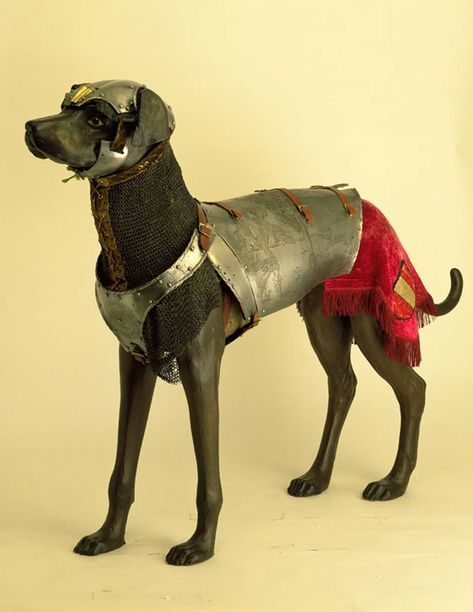 Cat Armor, Dog Armor, Medieval Artwork, Creature Artwork, Survival Mode, Knight Armor, Dog Costumes, Dog Art, Animal Drawings