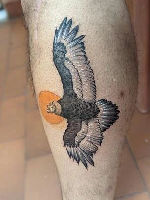 Andean Condor Tattoo, Condor Tattoo, Tattoo Trash, Andean Condor, Trash Polka, R Tattoo, Professional Tattoo, Ink Sketch, The Rules