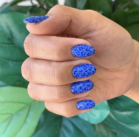 Funky Blue Nails, Nail Inspo Almond Simple, Country Music Nails, Nail Designs Animal Print, New Trendy Nails, Blue Cheetah Nails, Short Nail Shapes, Fun Blue Nails, 2023 Spring Nails