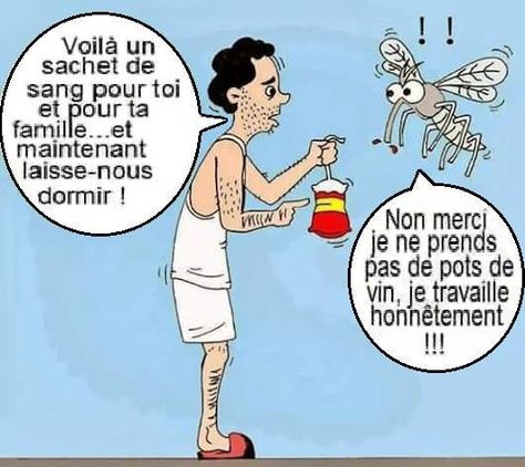 Humour Moustique: Remède miracle? Some Jokes, Medical Humor, Best Funny Pictures, Family Guy, Medical, Humor, Comics, Memes, Funny