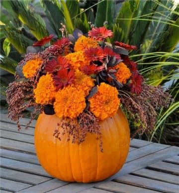 14 Cortes para arreglos florales que son simplemente divinos Orange Marigolds, Flower Styling, Dinner Centerpieces, Thanksgiving Flowers, Pumpkin Vase, Fall Flower Arrangements, Halloween Flowers, Pumpkin Flower, Gerber Daisies