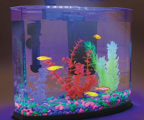 Glow In The Dark Aquarium Dark Fish Tank, Dark Aquarium, Glow In The Dark Fish, Bacopa Plant, Fish Tank Gravel, Desktop Aquarium, Glow Fish, White Gravel, Puppy Room