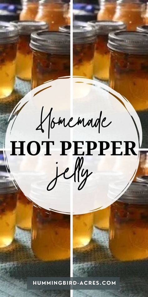 Looking for a delicious way to use up all those hot peppers from your garden? This easy recipe for homemade hot pepper jelly will do the trick! With just a few simple ingredients, you'll have a tasty jelly that's perfect for spreading on toast or serving with cheese and crackers. Give it a try today! Sweet And Hot Pepper Jelly, Sweet Pepper Jelly, Red Pepper Jelly Recipe, Jalapeno Jelly Recipes, Pepper Jelly Recipe, Jalapeno Pepper Jelly, Pepper Jam, Pepper Jelly Recipes, Jalapeno Jelly