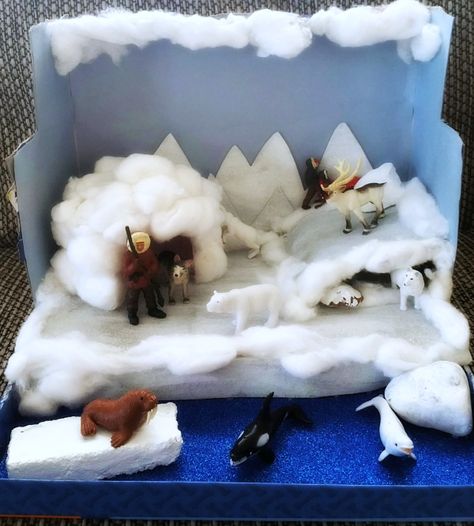 May 2016- Arctic Diorama (4) ed Tundra Diorama, Habitat Diorama, Arctic Habitat, Biomes Project, Diorama Kids, Ecosystems Projects, Habitats Projects, Urs Polar, Learning Crafts