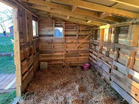 Horse Pallet Shelter, Goat Pen With Pallets, Pallet Cow Shelter, Horse Shelter Pallets, Diy Cow Shelter Ideas, Pallet Barn Diy, Pallet Goat Pen, Lamb Shelter, Diy Animal Shelter