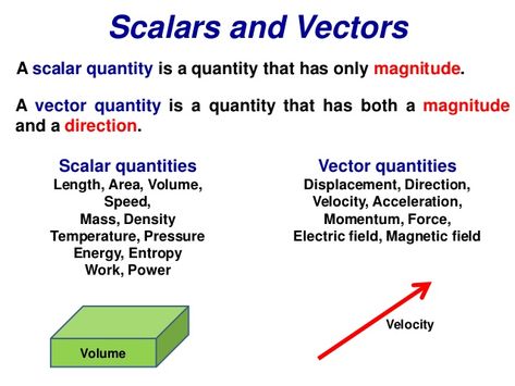 Scalars and Vectors  A scalar quantity is a quantity that has only magnitude.  A vector quantity is a quantity that has bo... Scalar And Vector, Motion Physics, Physics Lessons, Physics Concepts, Biology Worksheet, How The Universe Works, Physics Classroom, Chemistry Education, Combining Like Terms