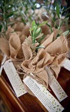 Olive Tree Wedding, Dinner Party Place Settings, Tree Wedding Favors, Tree Favors, Olive Branch Wedding, Olive Wedding, Tree Seedlings, Wedding Favors Fall, Wedding Place Settings