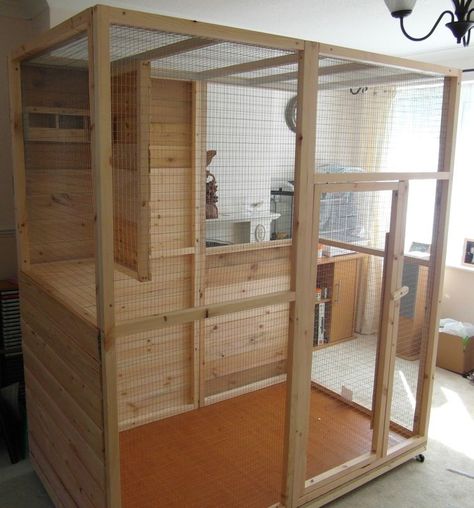 Indoor Bird Aviary, Diy Aviary, Indoor Aviary, Diy Bird Cage, Pet Bird Cage, Bird House Kits, Bird Aviary, Parrot Cage, Home Staging Tips