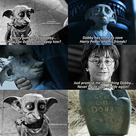 Harry Potter/Dobby Dobby Quotes, Harry Potter Dobby, Harry Potter Free, Free Dobby, Here Lies, Dobby Harry Potter, Ronald Weasley, Magic School, Harry Potter Memes