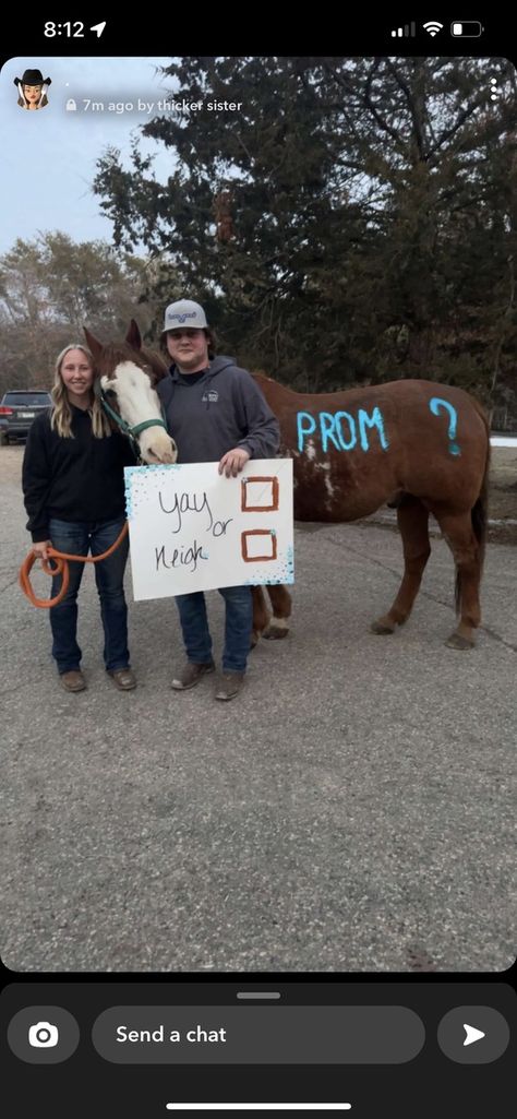 Farm Promposal, Horse Promposal, Prom Proposal Country, Promposal Ideas Country, Cow Promposal, Western Promposal, Car Promposal Ideas, Country Prom Proposal, Country Homecoming Dresses